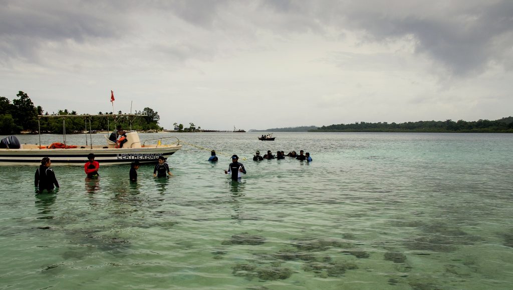 Adventurous Scuba Diving in Andaman Andaman Travel Blog By Experience