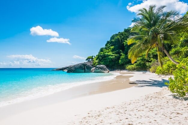 Mumbai to Andaman Packages