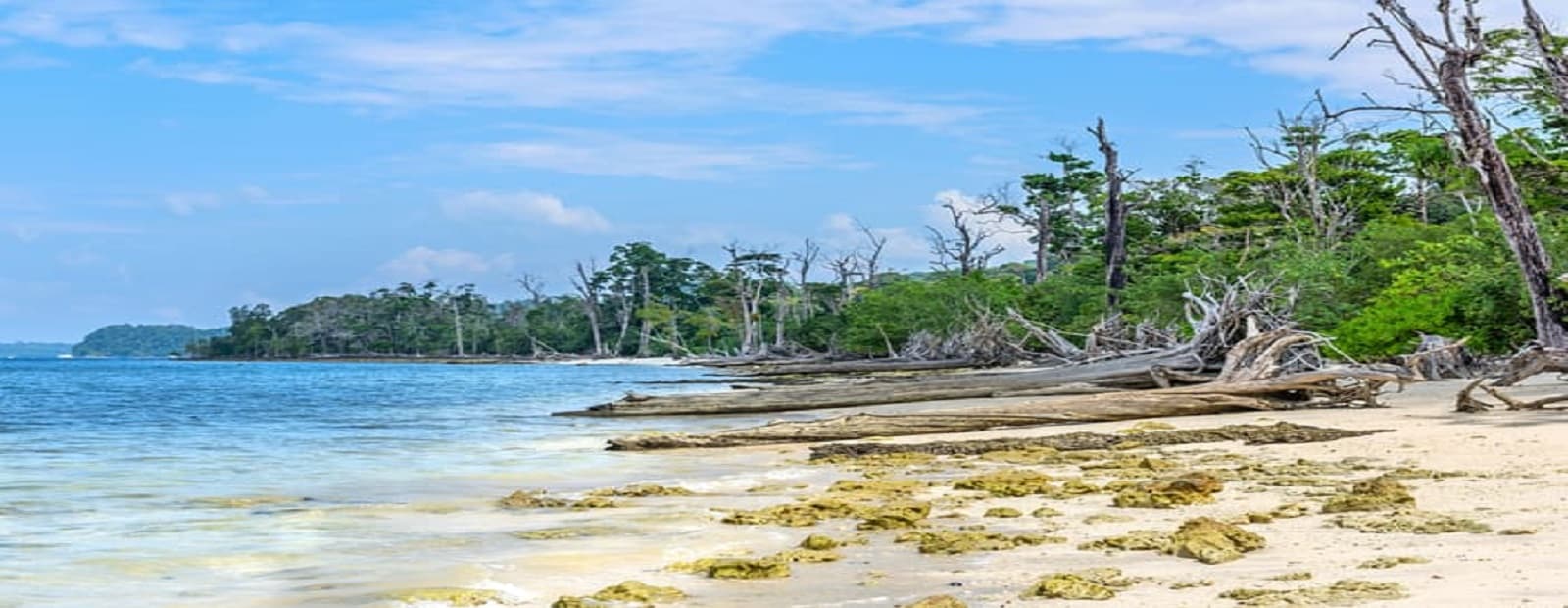 Surat to Andaman Packages