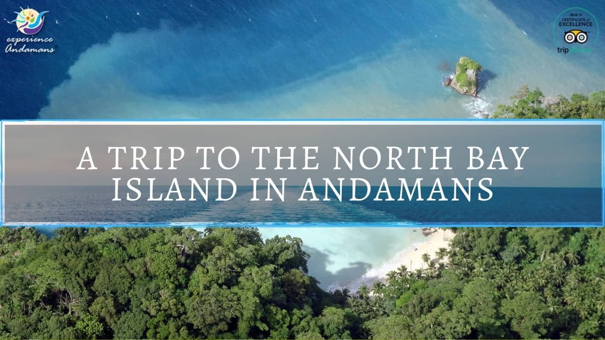 tourist places andaman and nicobar islands