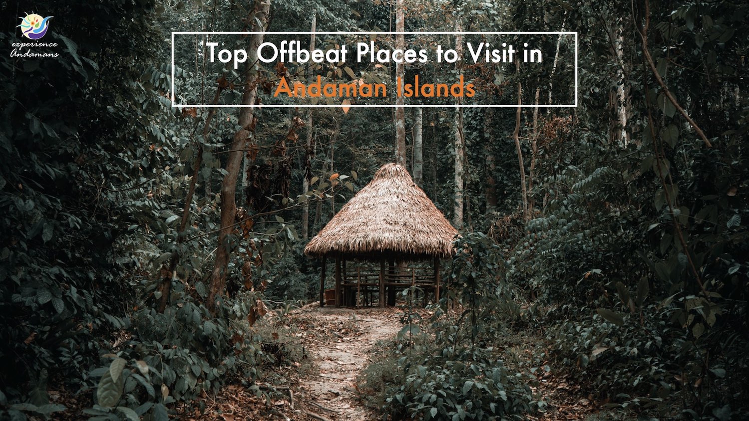 tourist places in andaman and nicobar wikipedia