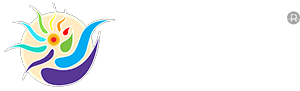 Experience Andaman Travel Blog