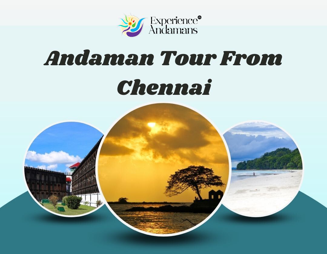 How to Reach Andaman from Chennai