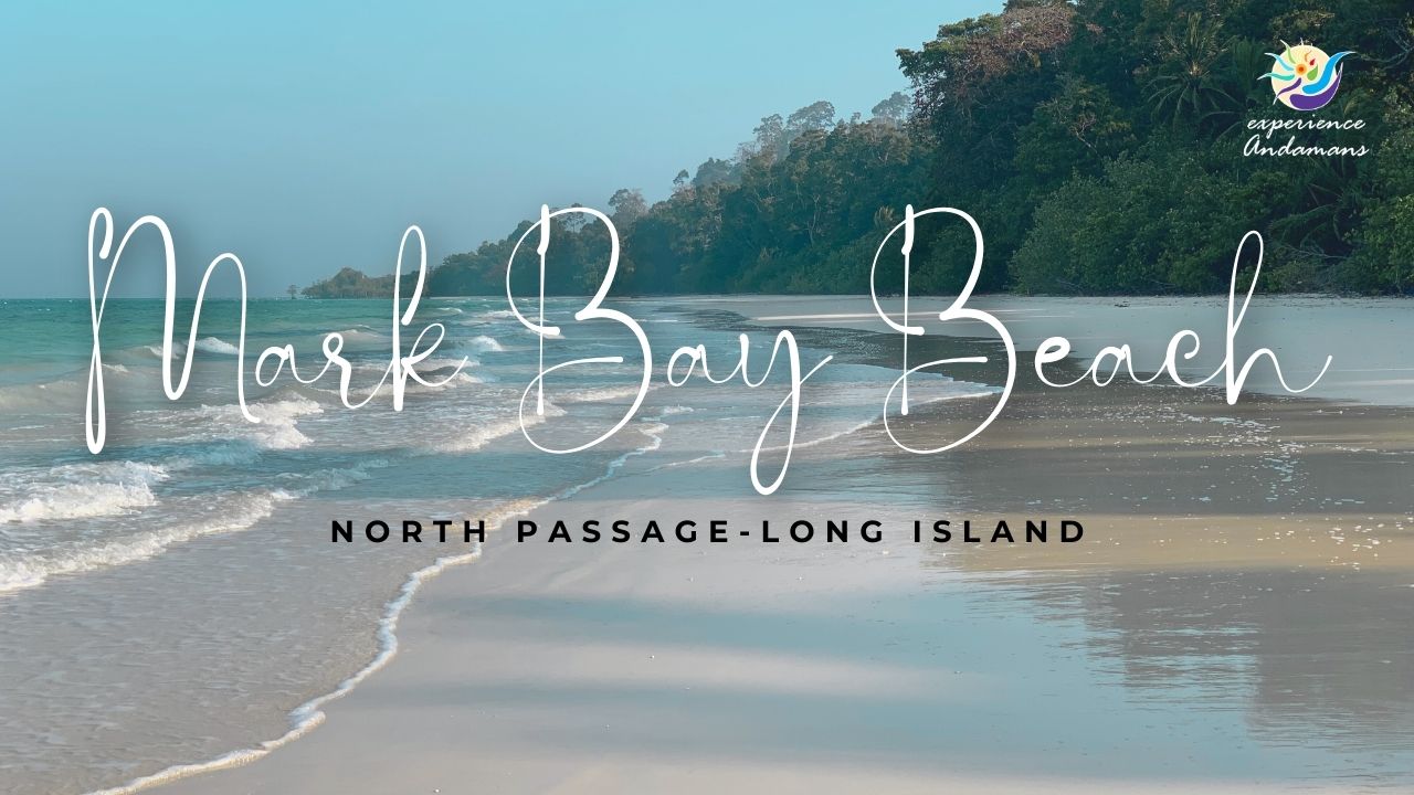 Mark Bay Beach Long island