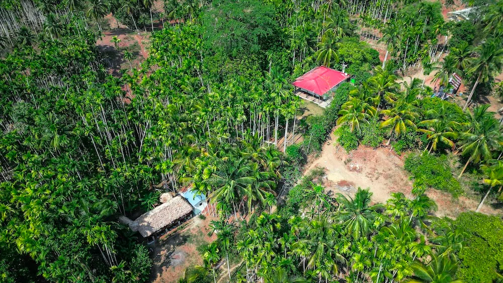 Luxury villa in Andaman Islands for a peaceful island stay